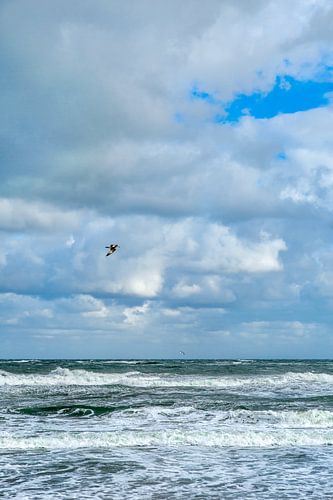 Ontsnap naar Texel: Magie van de Noordzeekust