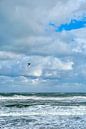 Ontsnap naar Texel: Magie van de Noordzeekust van Texel eXperience thumbnail