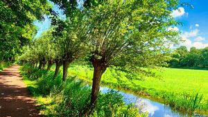 Fietspad langs bomen met sloot van Digital Art Nederland