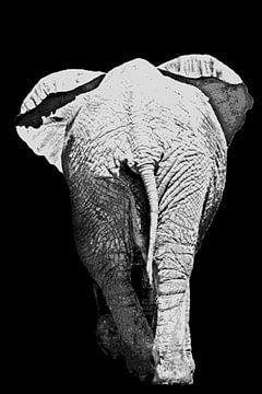 Een mooie achterkant kan ook gemengde media bekoren