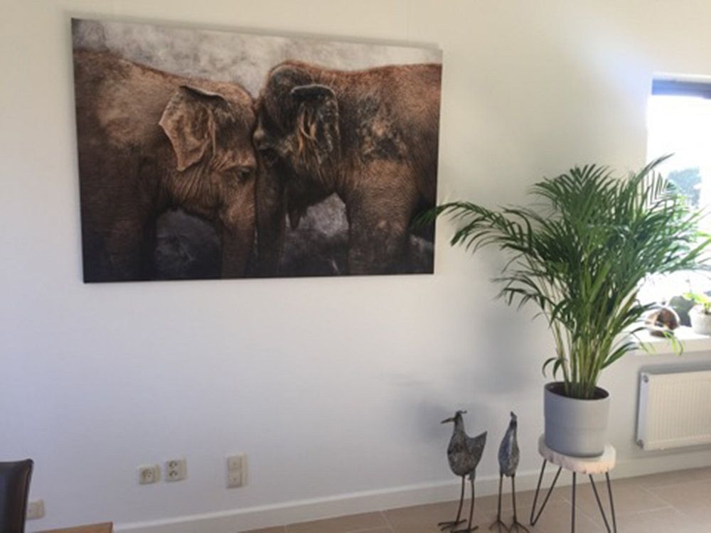 I love  you von Joachim G. Pinkawa