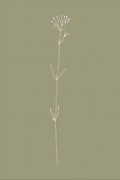 Boho-Botanische Blume auf Salbeigrün Nr. 4 von Dina Dankers