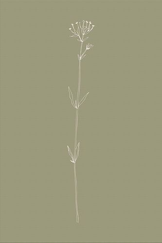 Boho botanische bloem op saliegroen nr. 4