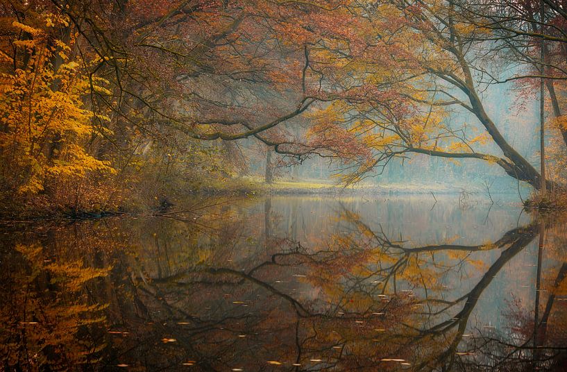 herfst ochtend van Axel Drenth