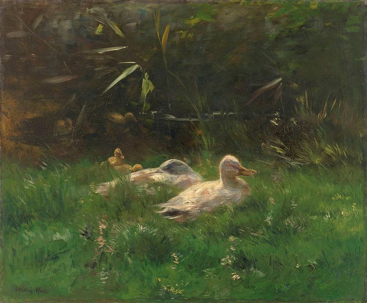 Canards, Willem Maris par Des maîtres magistraux