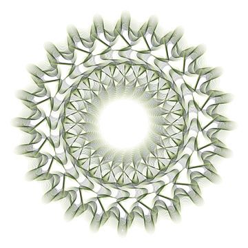 Green line wreath on and white background by Michar Peppenster