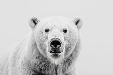 Ours polaire sur Poster Art Shop