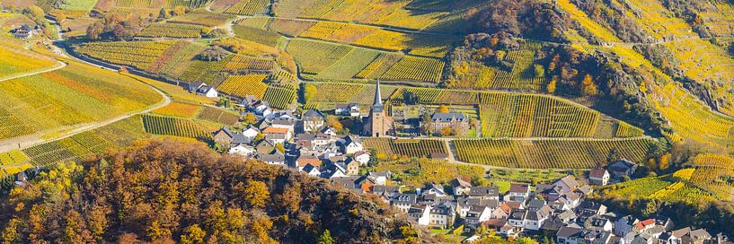 la beauté des vignobles de la vallée de l'Ahr par Walter G. Allgöwer