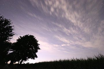 Griezelig nachtelijk plaatje van Frank Kosemund