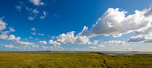 Westerschelde