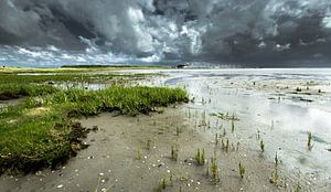 Waddenlicht 2.0 von Saskia Jans