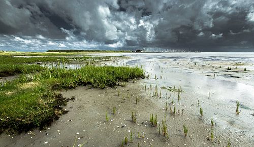 Waddenlicht 2.0 van Saskia Jans