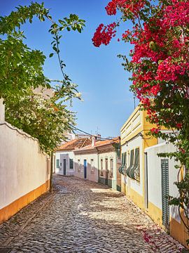 Een kleurig straatje in de Algarve van Robert Vierdag