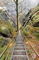 Elbsandsteingebirge - Abwärts
