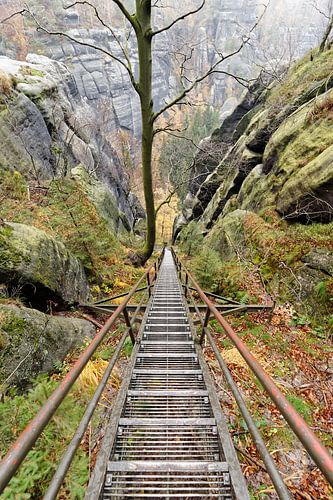 Elbe Sandstone Mountains - Downhill by Ralf Lehmann