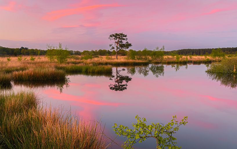 Sunset at Holtveen in National Park Dwingelderveld by Henk Meijer Photography