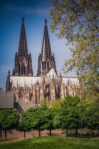 Kölner Dom