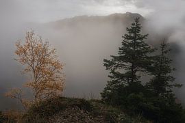 Fog on the Gaishorn by Marcel Hechler
