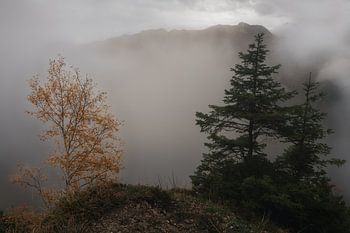 Fog on the Gaishorn