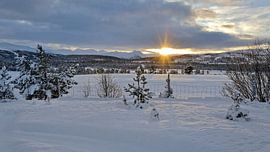 Winter in Norwegen von Michael Schreier