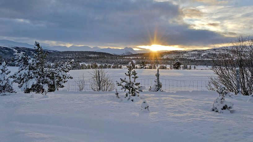 Winter in Norwegen von Michael Schreier