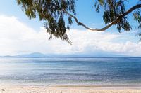 Paradies