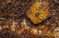 Rust