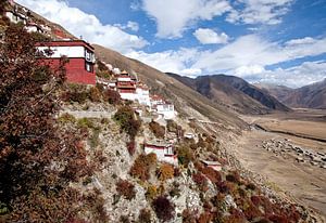 Klooster in Tibet van Jan van Reij