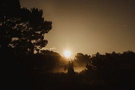 Guerrier Samouraï sur Danae Willeme