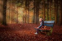 Betoverende herfstbos   