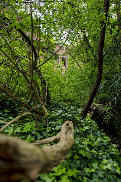 Urbex van Marieke Deinum
