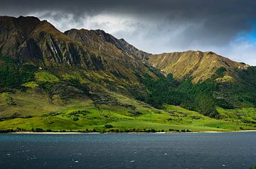 Berge in der Nähe des Hawea-Sees in Neuseeland von Ricardo Bouman