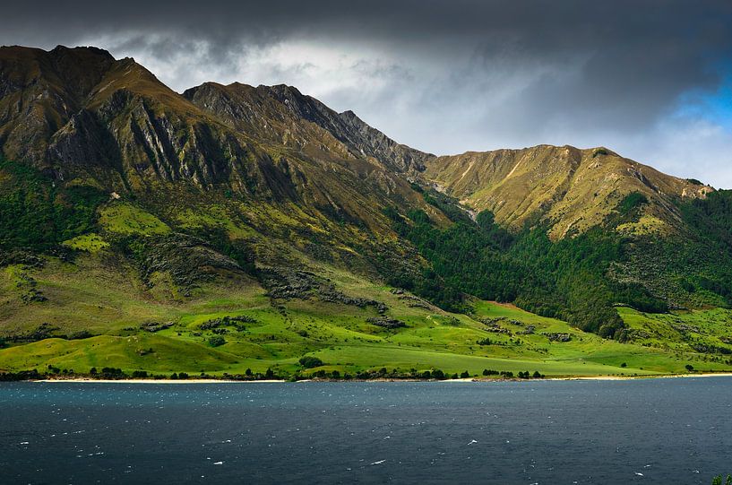 Gebergten bij Lake Hawea in Nieuw Zeeland van Ricardo Bouman