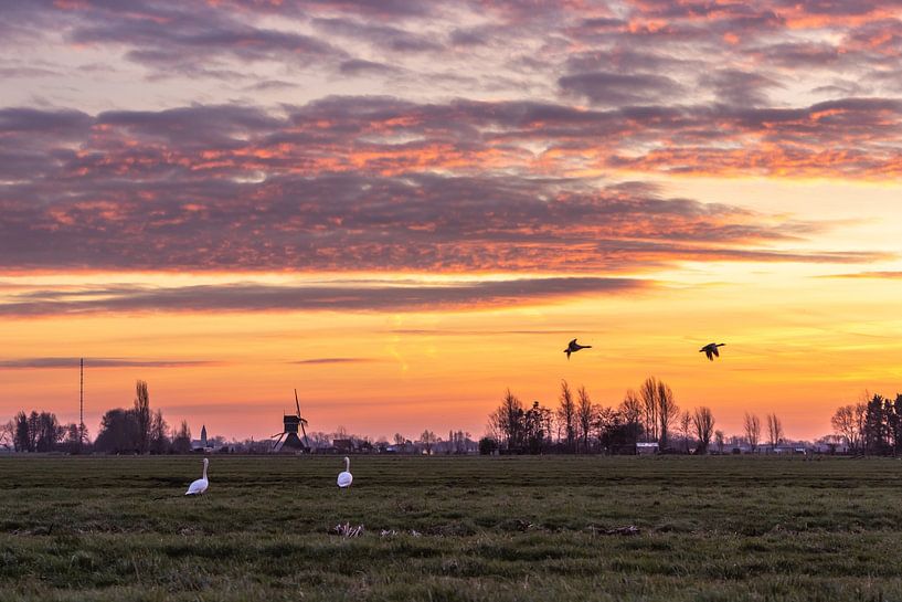 Op een vroege morgen in de polder van Stephan Neven