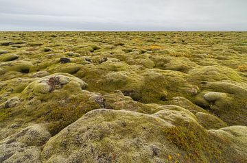 Vermooste Lavafelder (Island) von Marcel Kerdijk