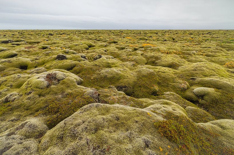 Bemoste lavavelden (IJsland) van Marcel Kerdijk