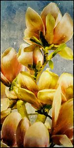 Blumenmalerei - Magnolienblüten II
