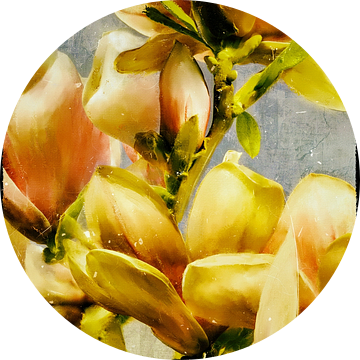 Bloemenschilderij - Magnolia Bloesems