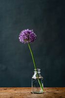 Foto | allium | sierui | paarse bloem in vaasje | Botanische | Stilleven