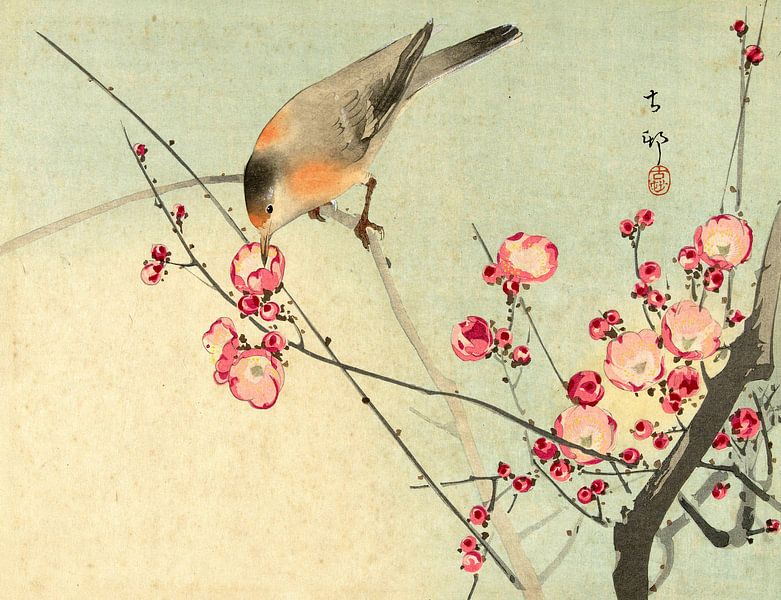 Singvogel auf Blütenzweig, Ohara Koson von 1000 Schilderijen