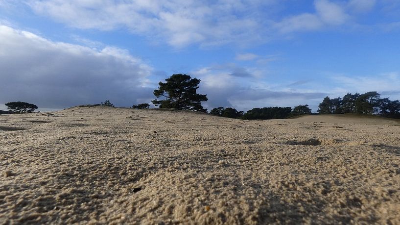 Wekeromse zand van Veluws