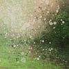 Grüne Spritzer-Landschaft von Go van Kampen