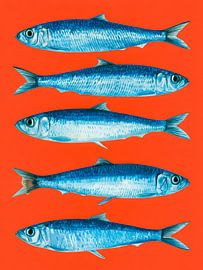 Poissons bleus sous la lumière rouge