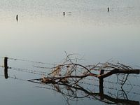 IJssel hoog water