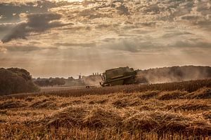 Oogst binnenhalen bij de Huls Simpelveld van John Kreukniet