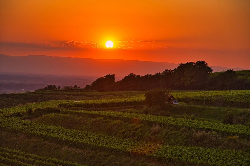 Soirée d&#039;été dans les vignobles de l&#039;Ortenau par Tanja Voigt