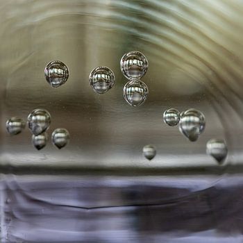 Bulles de dioxyde de carbone