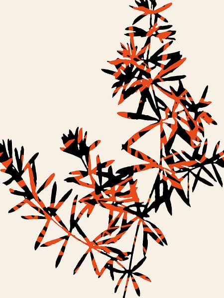 Abstract Botanical no. 7 Orange by Adriano Oliveira