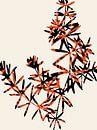 Abstract Botanical no. 7 Orange by Adriano Oliveira thumbnail