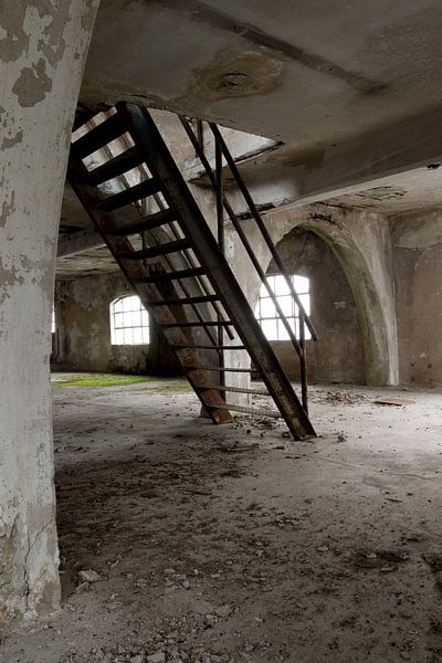 trap by Aart Jan van Mossel
